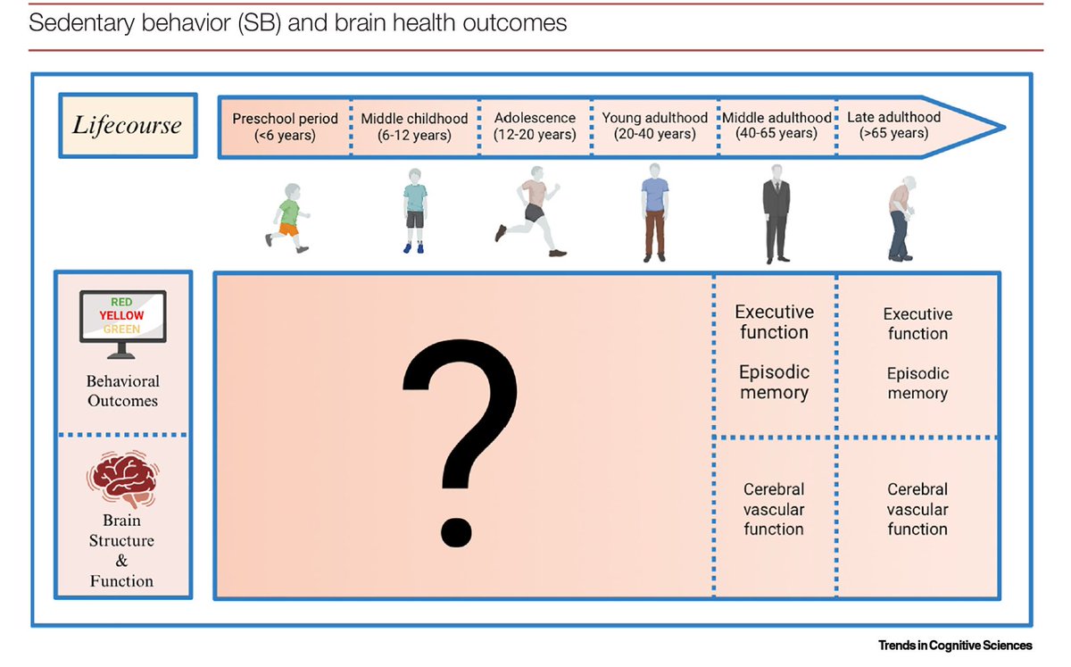 Sedentary behavior and lifespan brain health

In this Review, Liye Zou and colleagues explore sedentary behavior's role in cognitive performance, brain structure, and dementia risk across age groups. 

Cell Press: bit.ly/3Tp957u