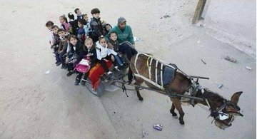 سيدؤؤؤؤؤؤن التاريخ
 بأن هذا  " الحمار العربي الأصيل " 
قد خدم أهل غزة أكثر من 
جامعة الدول العربية
 و منظمة المؤتمر الإسلامي ! !