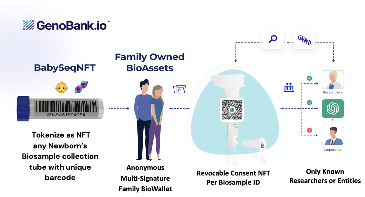 Legally, minting a #BioNFT 🧬 on the blockchain grants you a unique token ID, a SNP based fingerprint of a genomic dataset. However, the creation of this #BioNFT does not inherently confer the rights to access or use the underlying genomic 🧬 data. A #consent &/or…