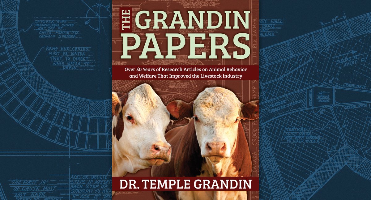 Temple Grandin is famous for her groundbreaking approach to decoding animal behavior. Her 50 + years of experience in observing animals shines through in this book. Learn how she's influenced the world of animal agriculture with her unique autistic brain. fhautism.com/shop/the-grand…