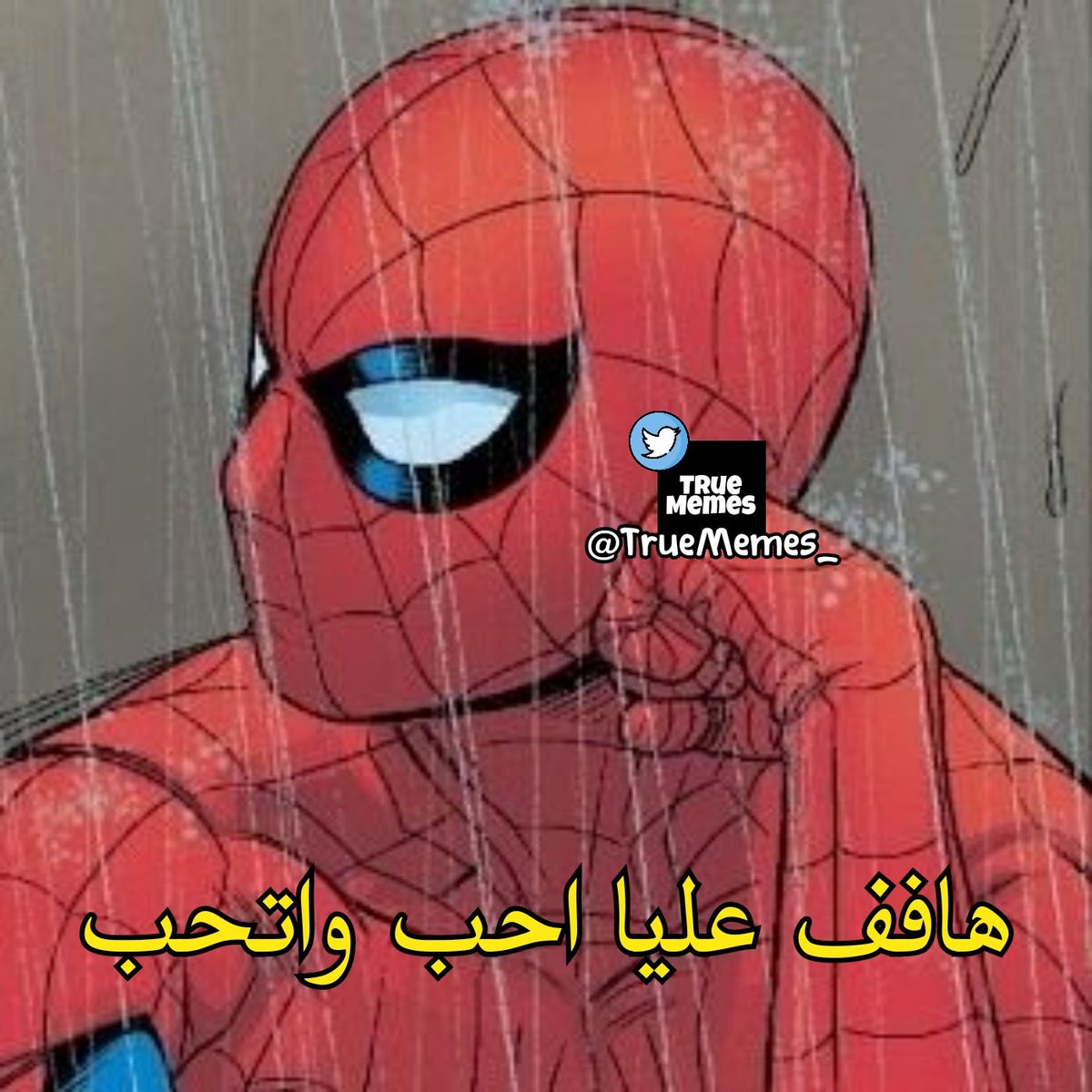 True Memes (@truememes_) on Twitter photo 