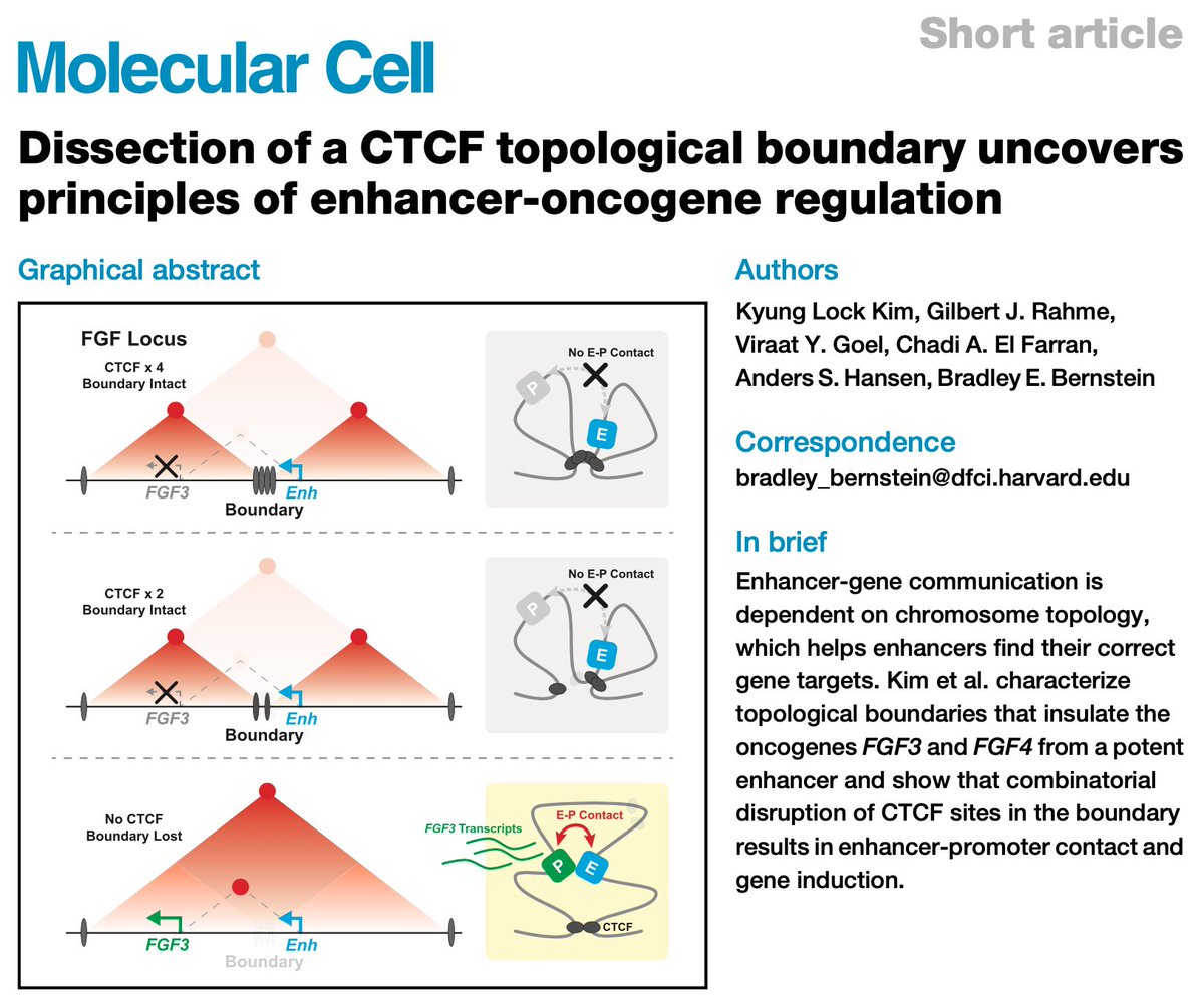 (1/2) New paper from KL Kim @GilbertRahme @BradEBernstein @GRO_Broad with RCMC contribution from @ViraatGoel @hansen_lab sciencedirect.com/science/articl… Quantitative dissection of how loss of a CTCF insulator boundary in GIST causes aberrant enhancer-oncogene interactions