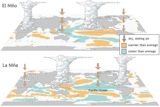 It’s been 50 years since the first attempt to forecast the El Niño/Southern Oscillation. The initial prediction was incorrect, but it marked the beginning of a journey toward understanding and predicting one of Earth’s most influential climate phenomena. climate.gov/news-features/…