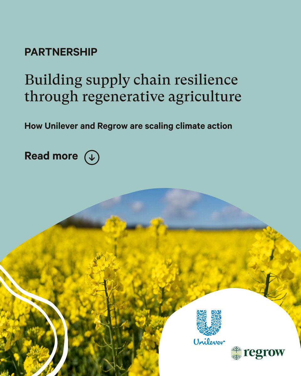 The time for pilots is over. It's time to go big.' This year, @Unilever is launching an initiative to deploy 100 #climate smart #farming programs by 2030 — and Regrow will be supporting those programs with our #MRV. 👩‍🌾 Learn more: lnkd.in/gUcx_xX7