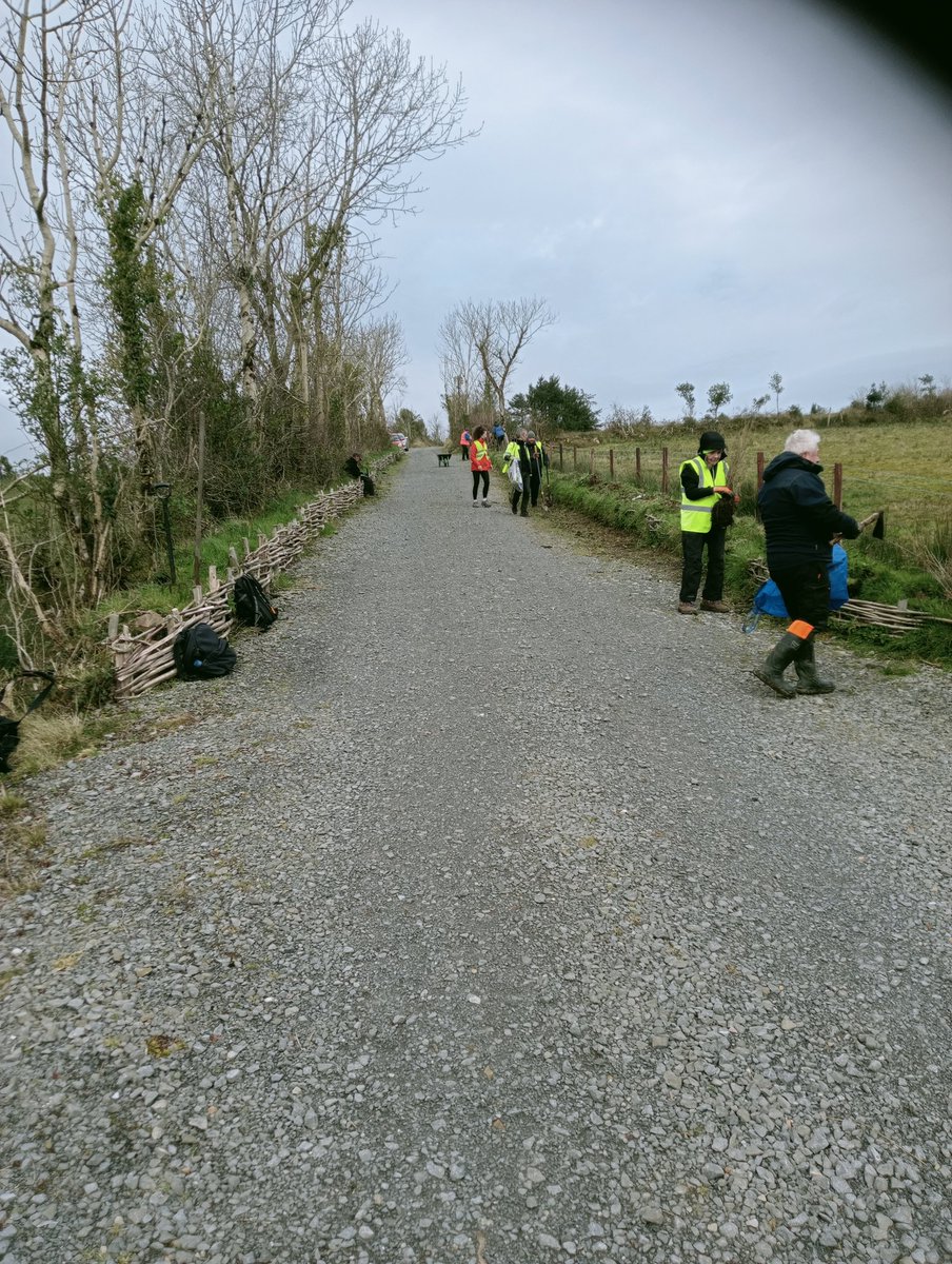 LOHora's tweet image. National tree week. Restoring flood damaged #leitrim #ballinaglearagh hedges with ingenious local solutions thanks to #woodlandsofireland @leitrimcoco @SaveLeitrim @LeitrimLive @LeitrimTNetwork @ShannonsideFM