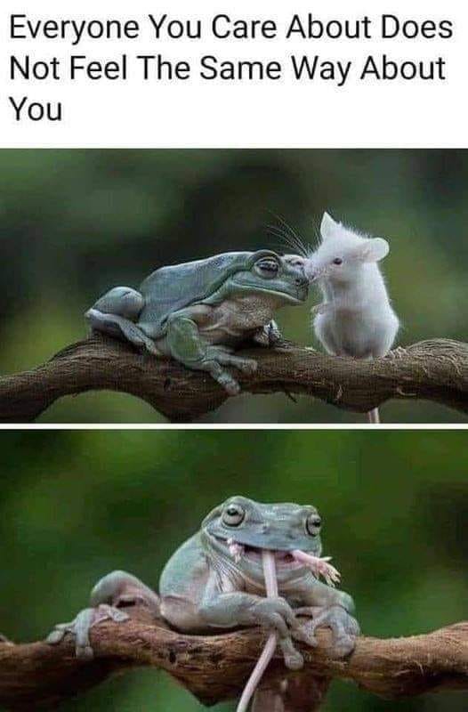 JacklenaB's tweet photo. Everyone you care about does not feel the same way about you. Be careful who you choose as friends. https://t.co/pBiFyQ6VBh