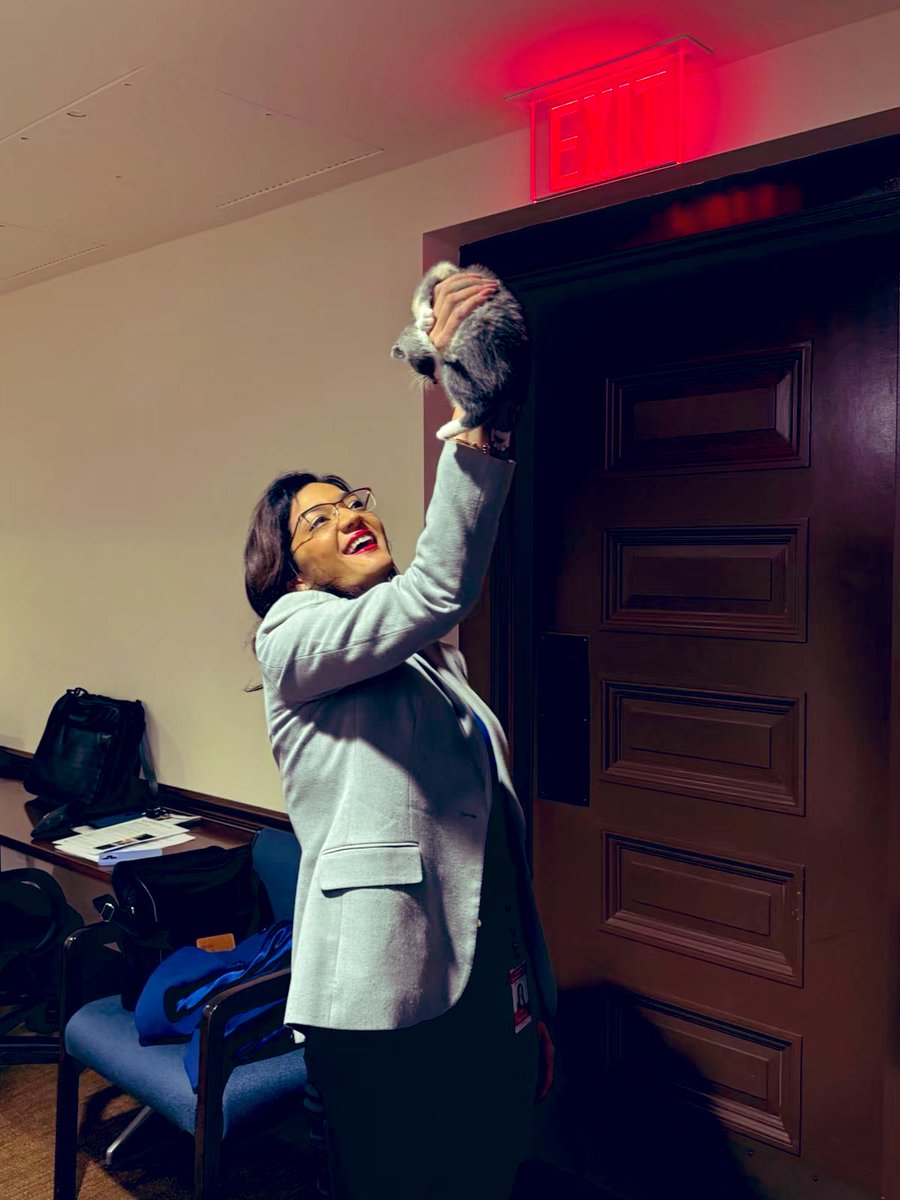MariaIsa's tweet photo. S/o to this kitty who came to thank me for passing Tenant Animal Protection rights. His name is Pinto and he gets to keep his claws 🐈‍⬛ 🐱 #RepWhoRaps love to all the gatos and perritos https://t.co/euCdbFNl3O
