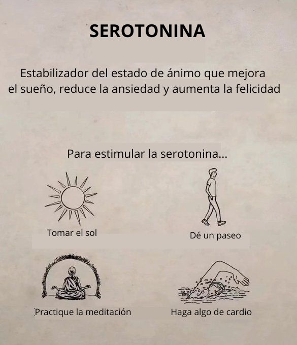 CÓMO HACKEAR TUS 4 HORMONAS DE LA FELICIDAD
(🔁Repost para ayudar a los demás)

1.