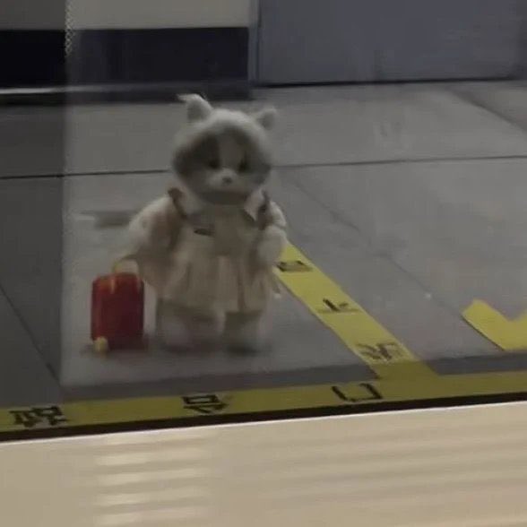 haksızlığı da koydum bavula yalnızlığı da aldım yanıma