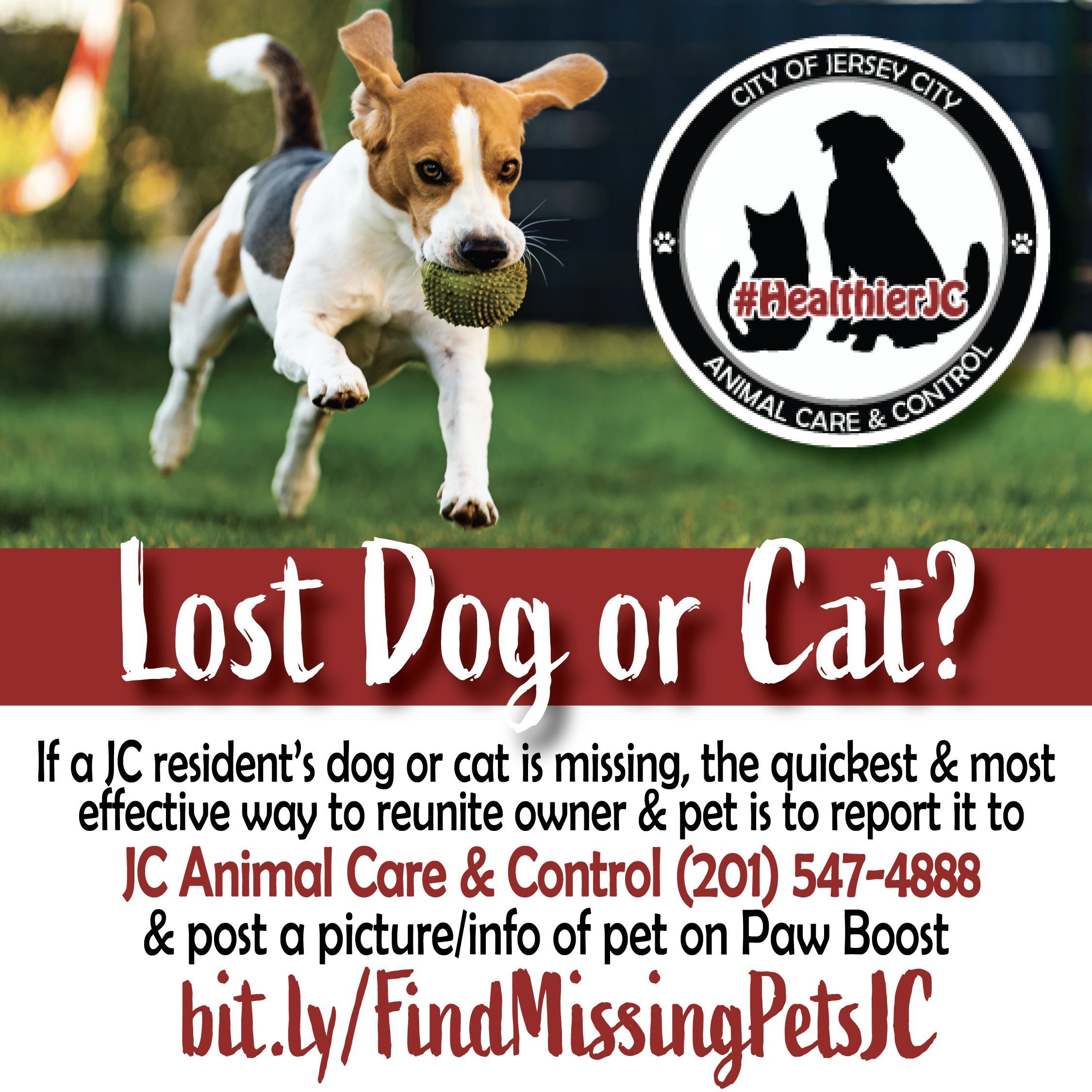 Animal care and hotsell control lost pets