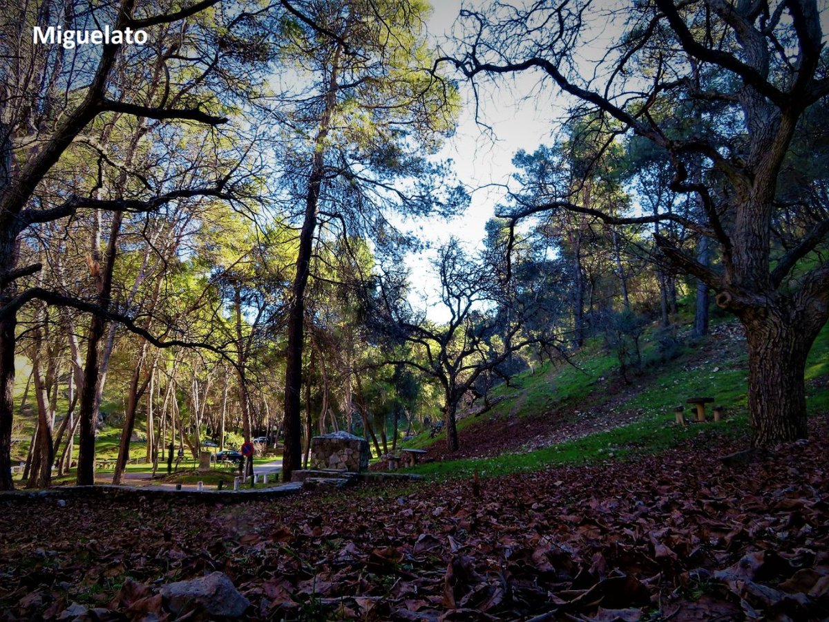 Viajar por Jaén tweet media