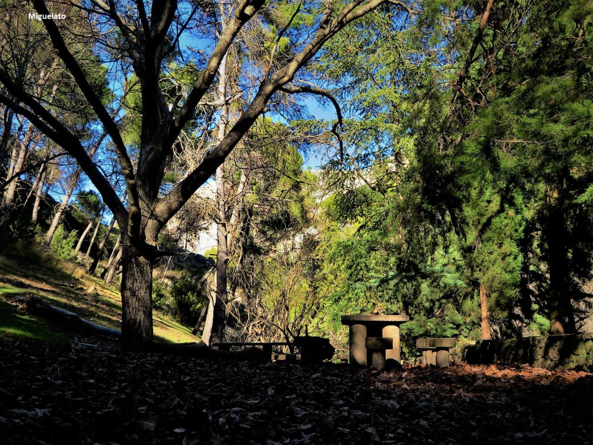 Viajar por Jaén tweet media