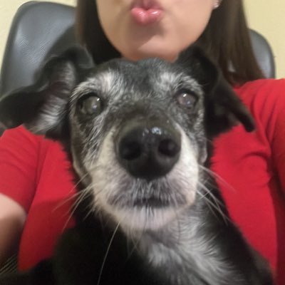 arianecota's tweet photo. #NovaFotoDePerfil https://t.co/xfZuZvHFCw