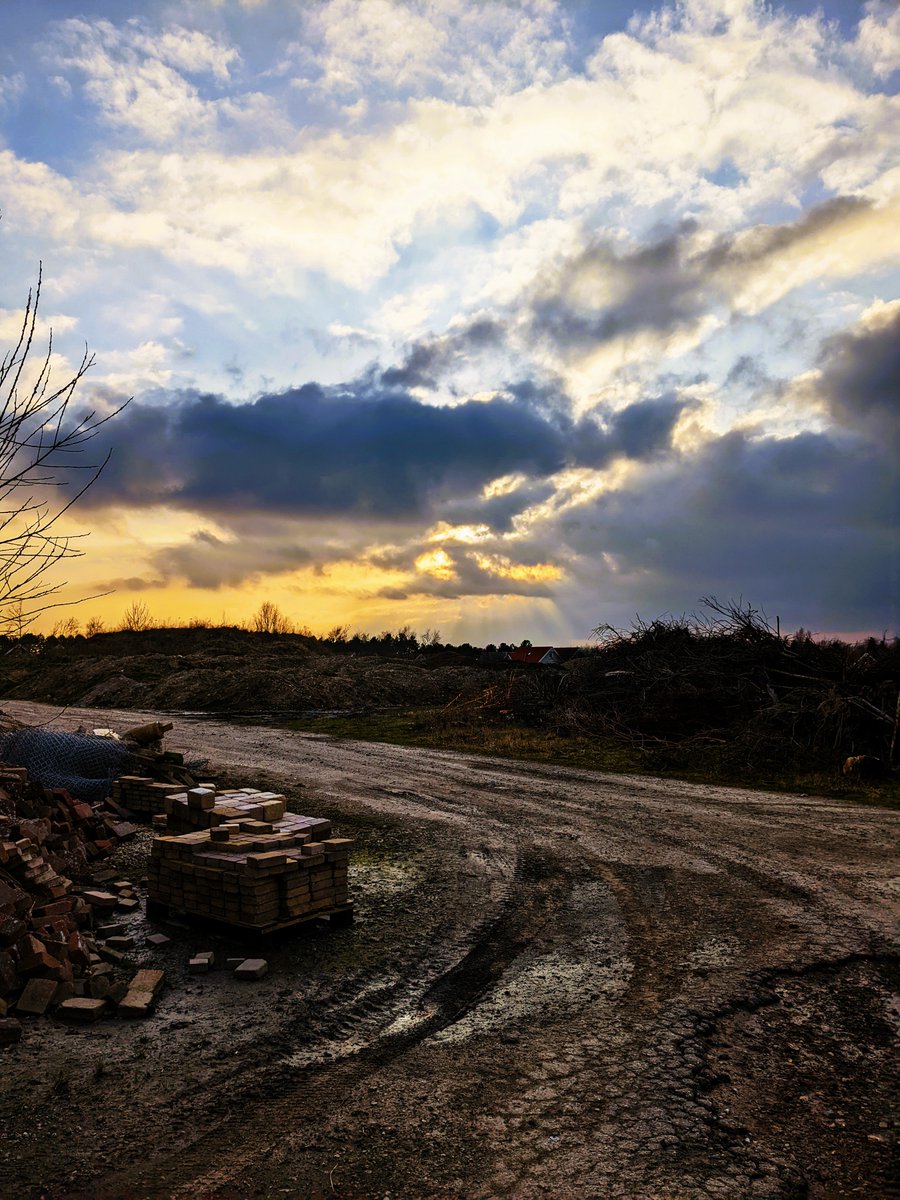 Tom Klausen tweet media