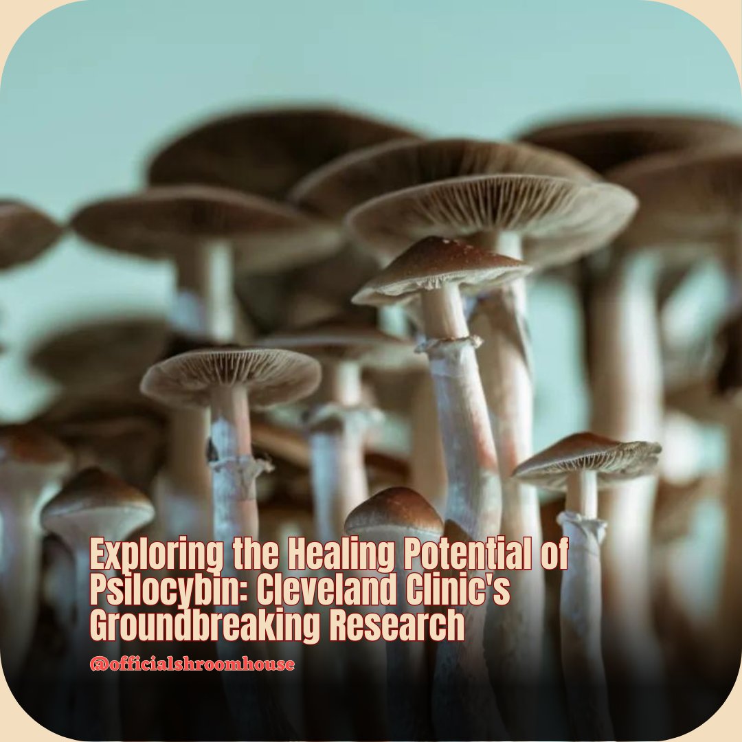 Psilocybin, once known for recreational use, now under clinical trial scrutiny for depression treatment. Cleveland Clinic leads pioneering research. #PsilocybinResearch #DepressionTreatment #ClinicalTrials #ClevelandClinic #PsychedelicTherapy #MentalHealth #Innovation #Hope 🍄💊