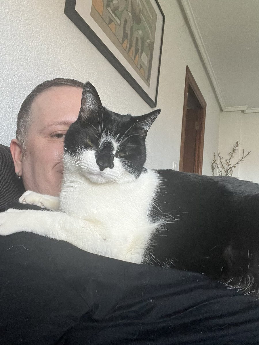 H_Ferris's tweet photo. Nuevo trabajo, nuevo piso, pero mi coche y mi gato siempre conmigo. https://t.co/g3OcHd7Noy
