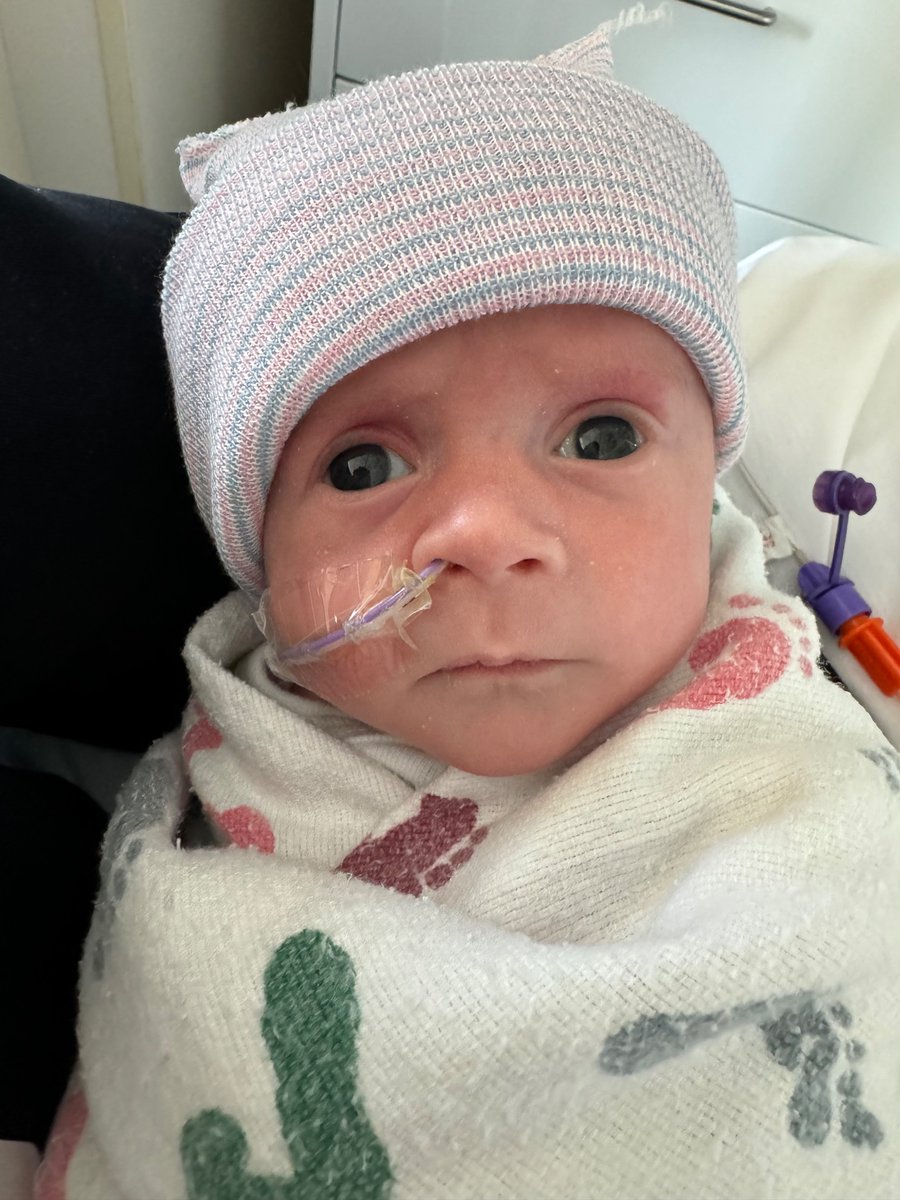 Meet Kevin tweet media