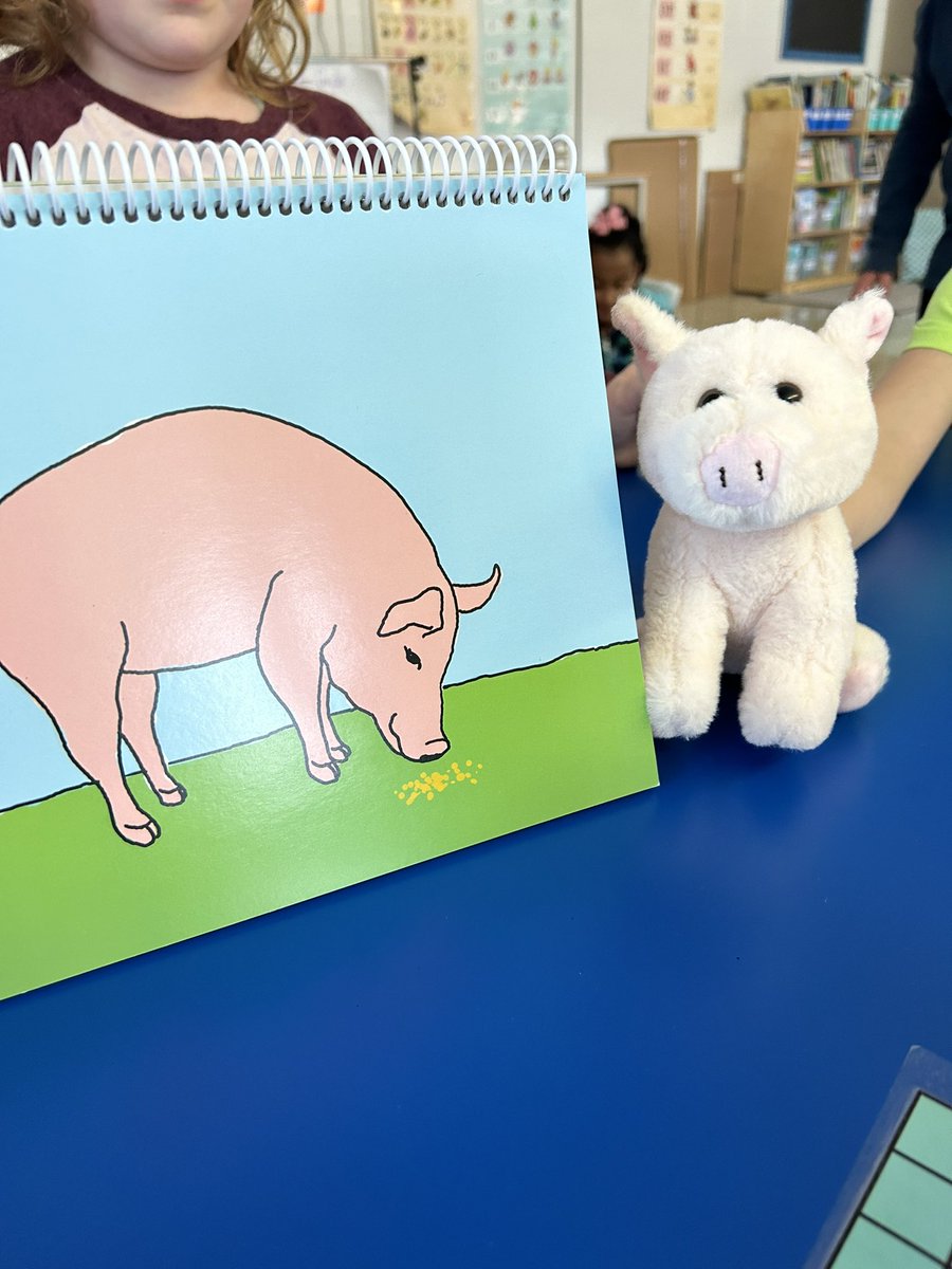 MrsCableNES's tweet photo. Wilbur visited the Learning Support classroom during his time at NES! The kids loved having him during reading groups! 🐷🤍 https://t.co/EaxKhTGqzm