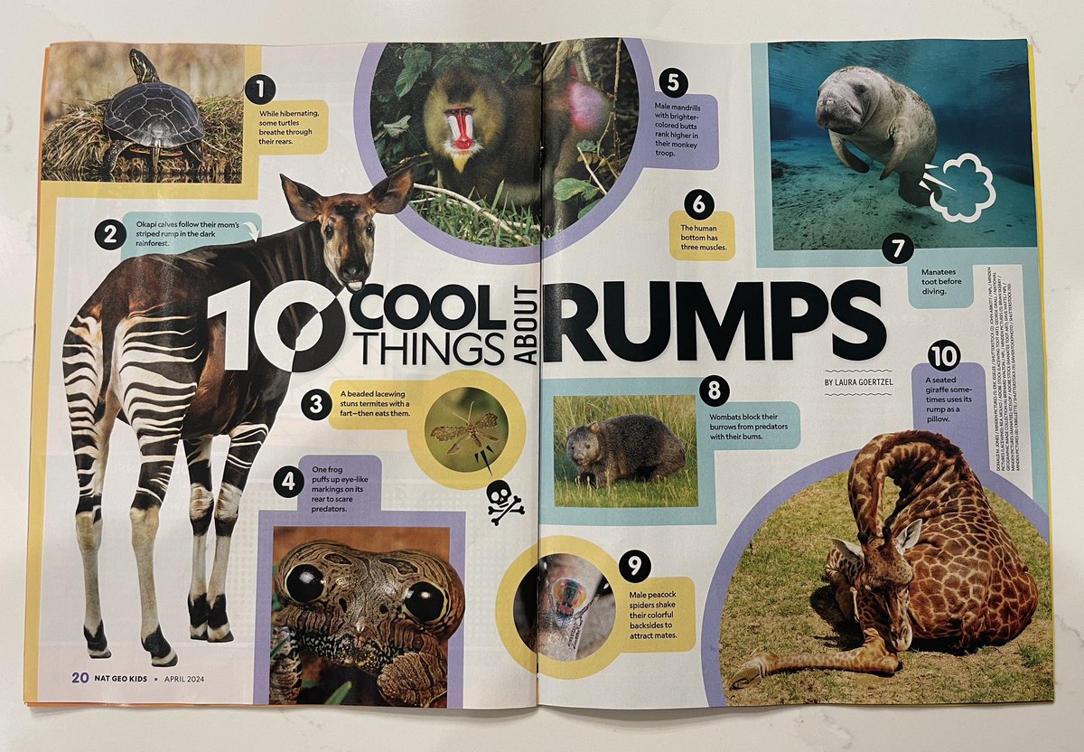 zapalicious_1's tweet photo. @HolyPostPodcast @philvischer @SkyeJethani @mikeerre @KaitlynSchiess found this gem in National Geographic Kids! #newsofthebutt #tenepisodesworth https://t.co/rVN9BM8A4I