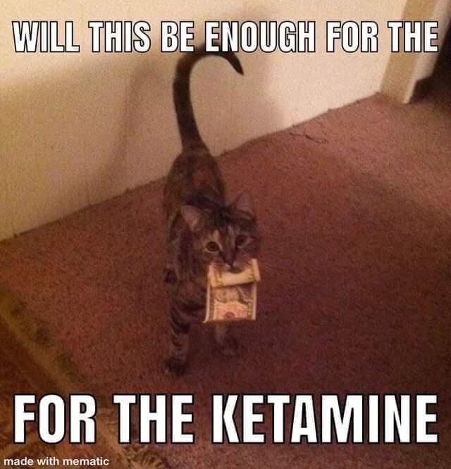 Happi Ket tweet media