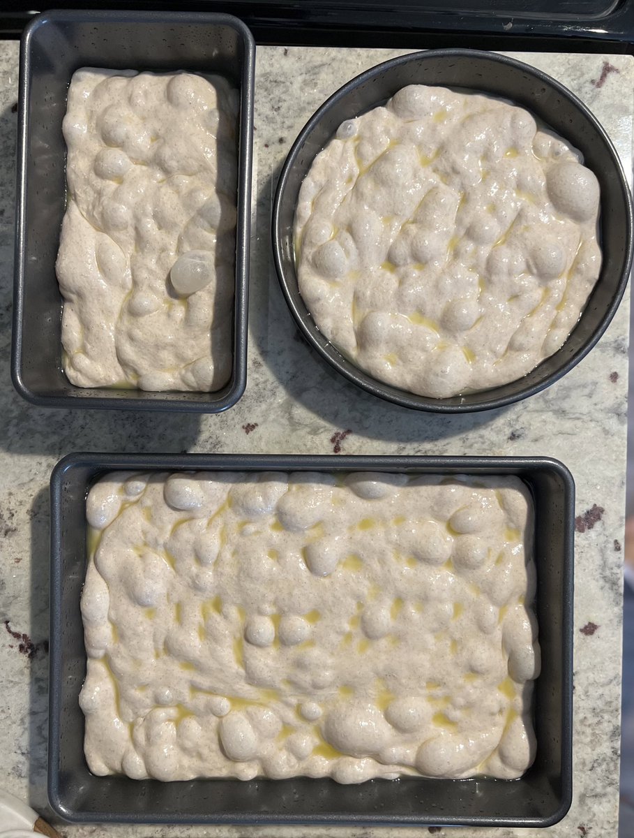 nichtszusehenn's tweet photo. دیگه وقت دیمپل کردنه که بره بپزه برا خودش بعد ۳۰ ساعت 🤌🏼
#RealBread
#23Cafe
#Sourdough https://t.co/gh4b9cuJes