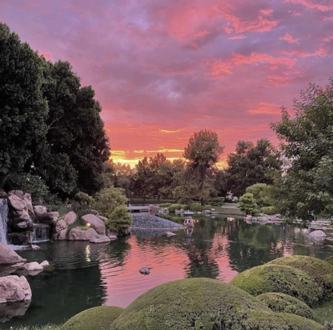姉妹庭園、フェニックス市｢鷺鳳園｣の園内風景です。 アメリカのアリゾナ州からの夕焼けをお届けします🎵 Today I post a photo of the sunset view of ROHOEN. (Japanese friendship garden of phoenix,USA） #好古園 #kokoen #rohoen #phoenix