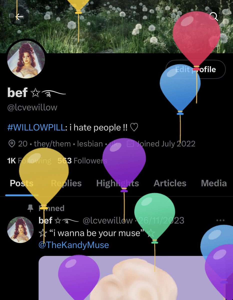 lcvewillow's tweet photo. BALLOONS!!!! https://t.co/cFUTFwqTbn