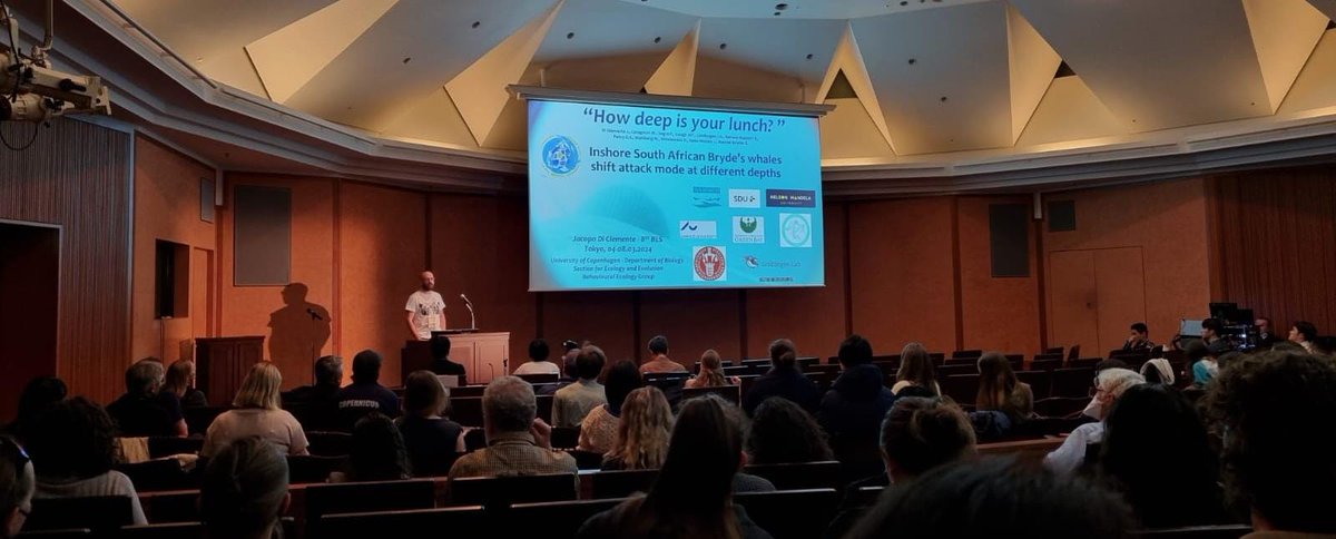 Jacopo Di Clemente tweet media