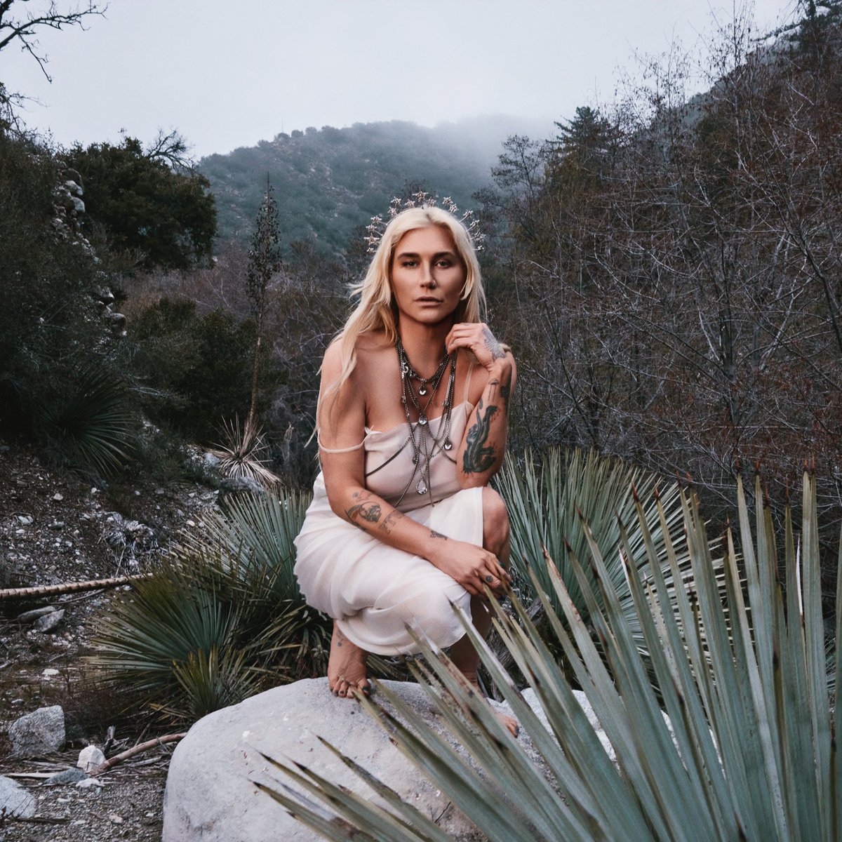 kesha (@kesharose) on Twitter photo 