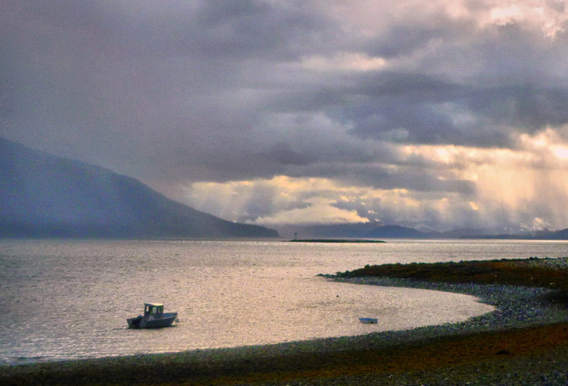 Island Codgers tweet media