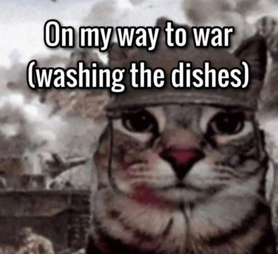literallymecats's tweet photo. https://t.co/8zbKv9h4D7