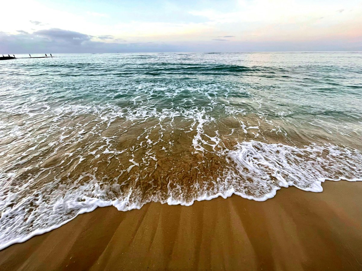 My latest #newsletter is out! Subscribe to The Next Chapter to read about my MC's origin story, and maybe next month I'll do a giveaway of the anthology where Maya makes her literary debt! jenniferkmorita.ck.page
#WritingCommmunity #AuthorsOfTwitter #MomsWritersClub #ITWdebuts