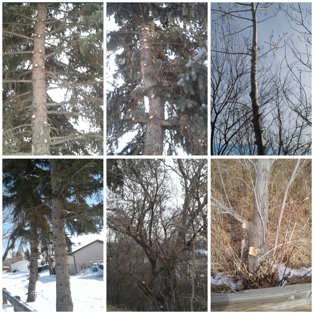 JefferyLyn's tweet photo. @jvipondmd @JanisIrwin Yet don't practice it IN the city itself huh??? What is the NDP definition of climate change and the environment. Don't come with bs and not have your own party's receipts of you all giving 2 fks #WTF #Wheresthefunds #175million #HousingCrisis https://t.co/NeLoF5MBLt