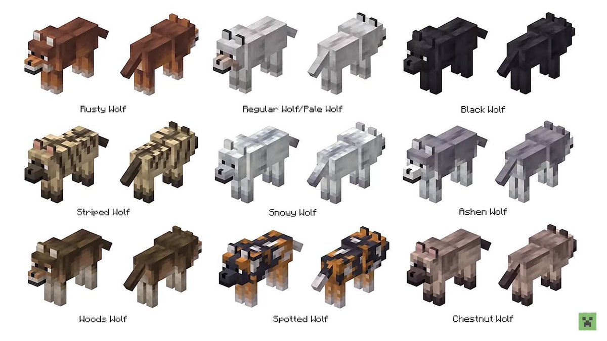 zozozrob tweet media