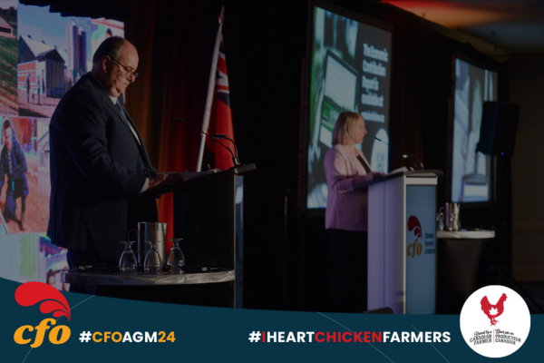 Thank you to the over 350 farmers, industry &amp; gov't stakeholders who attended the #CFOAGM24 to network, discuss trends and future plans for the Ontario chicken industry. Visit ontariochicken.ca to access AGM meeting materials: bit.ly/3P9Vlv0. #Iheartchickenfarmers