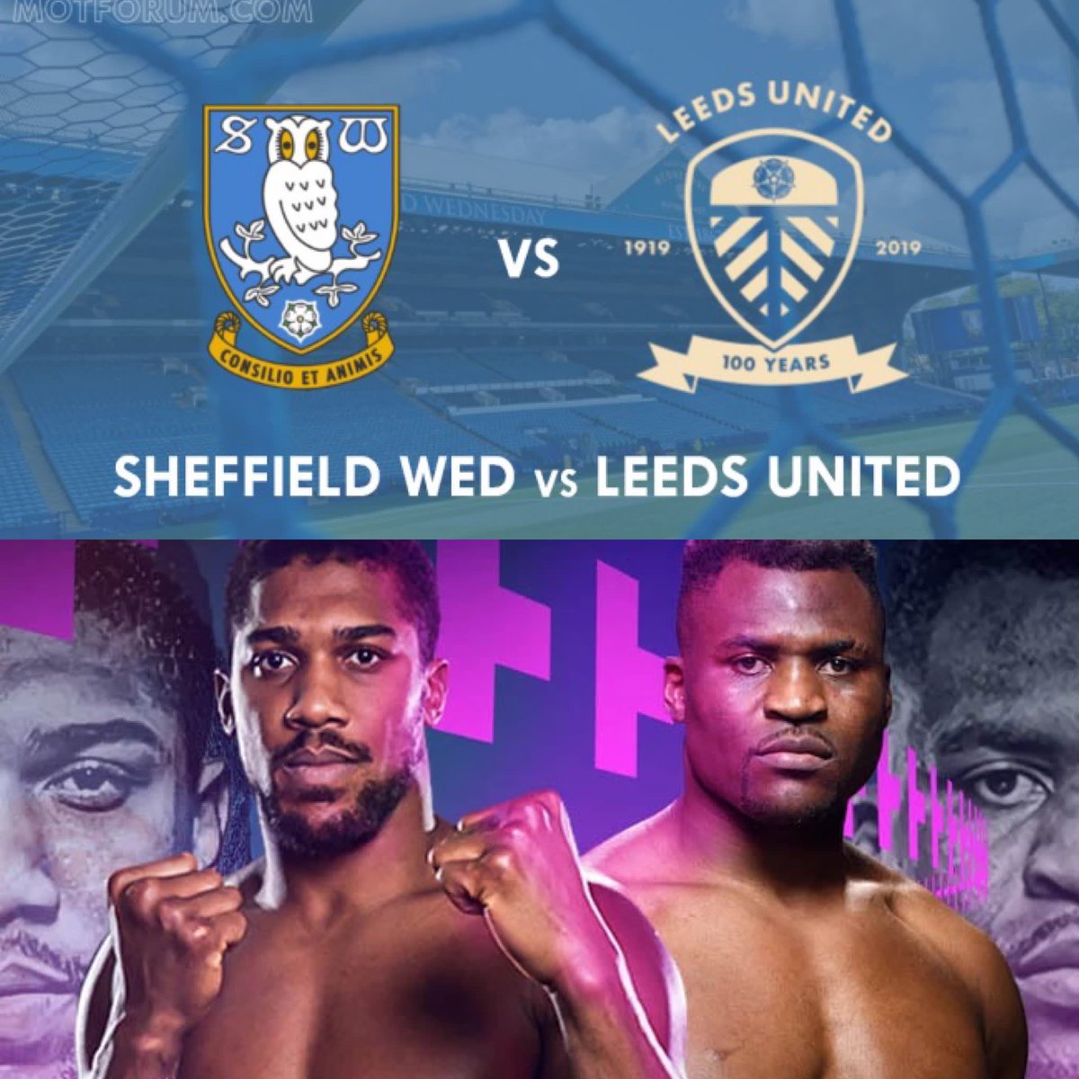 _thealexandra's tweet photo. Only a few days to go until a big night of live sport.
⚽️⚽️Sheff Weds vs Leeds⚽️⚽️
Followed by
🥊🥊Joshua vs Ngannou🥊🥊 https://t.co/BfQUJ89LXI