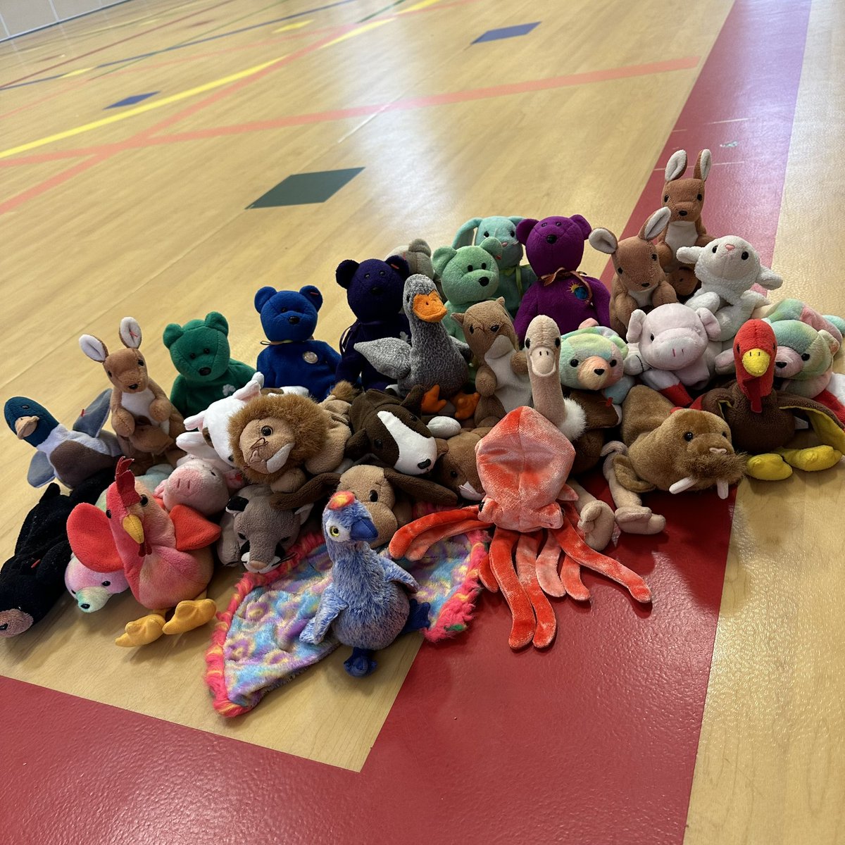 Had a great response from our school community after asking for old Beanie Baby donations! These help add to our fun of throwing, catching, tagging, balancing, parachute games and more! And most importantly, FREE equipment! #PhysEd