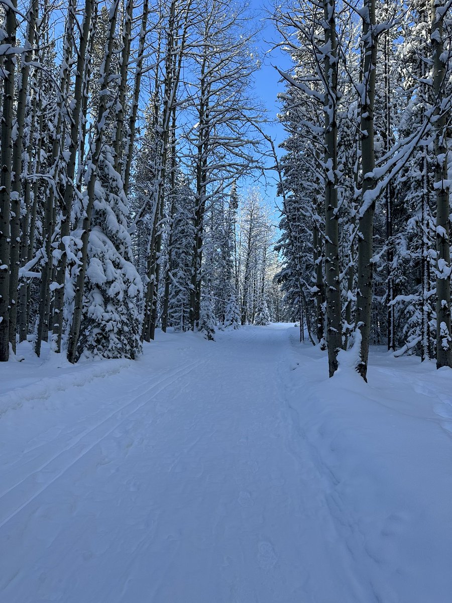 _eaglecount's tweet photo. 2023 Spring Golden Eagle Migration Count. A cool Sunny cloudless day to start. Blue skies can make it hard to spot the soaring eagles 🦅. At 2pm 13 have been counted. Watch the live count here https://t.co/R94xZhW4BA #Alberta #birding #Kananaskis https://t.co/nxxjkQGkmR