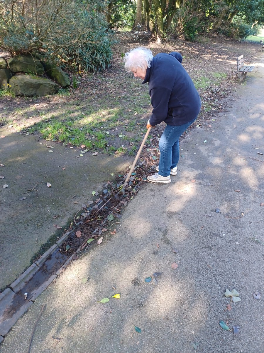 Friends of Derby Park Bootle 🌳 tweet media