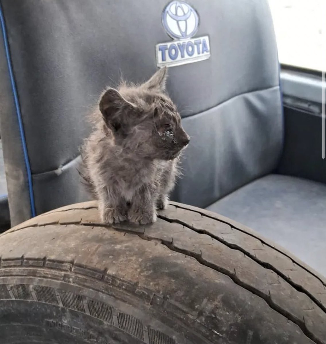 Abandonaron a este bebé en una combi con un ojo reventado, no se sabe qué tiene, si es golpe o enfermedad

Sus otros 2 hermanitos estaban escondidos en otros asientos e igual están decaídos

Se está juntando para consulta y tratamiento (detalles en hilo) 

yape: 945973564
Lima📍