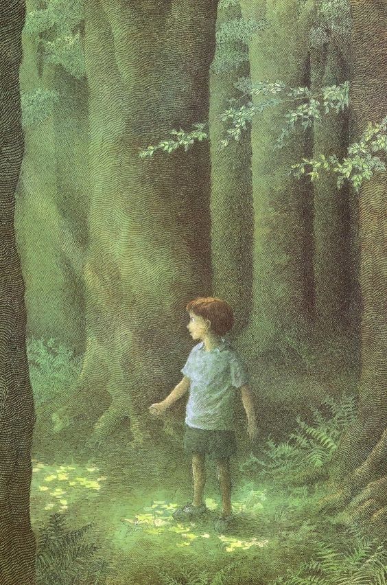 Into The Forest Dark tweet media