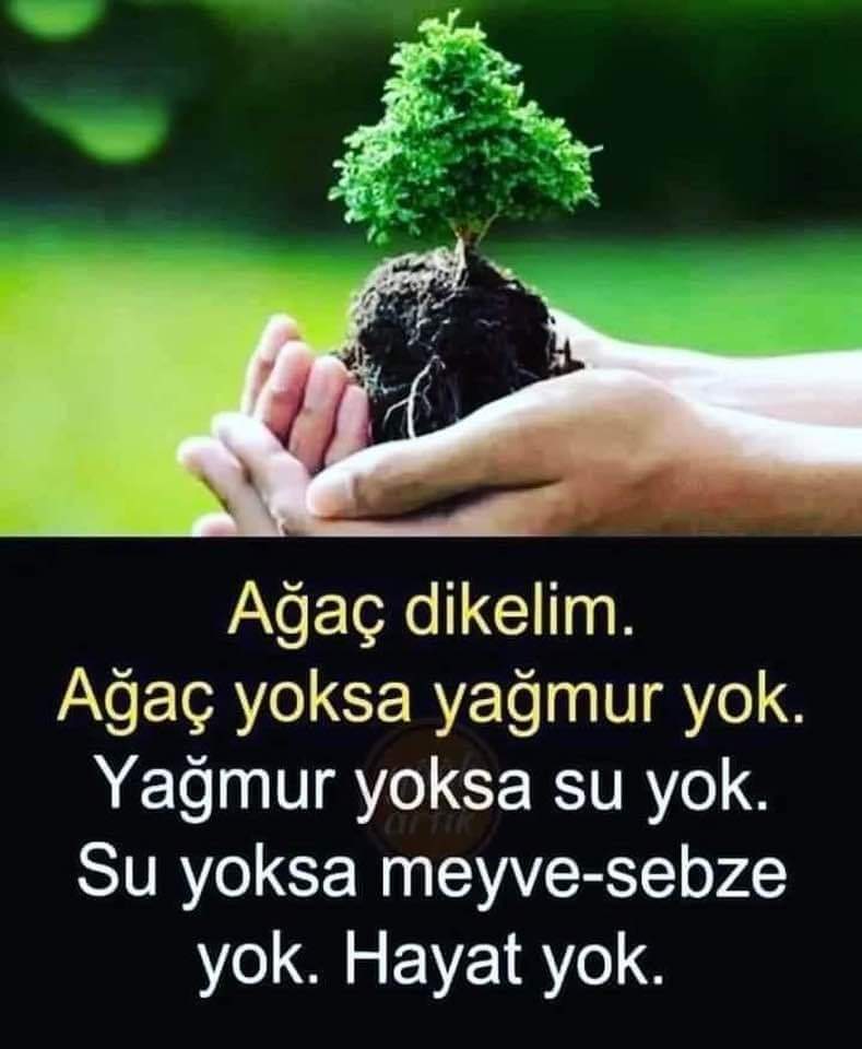 MUTLU GECELER DİLERİM DOSTLARIM