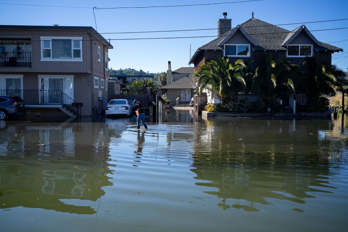 KneeDeepTimes's tweet image. En el Canal de San Rafael, las inundaciones provocadas por las mareas reales permiten vislumbrar el futuro. El Día de las Mareas Reales, los voluntarios recogieron datos para ayudar a prepararse para la subida del nivel del mar. 📷: George Alfaro buff.ly/3V5trDR
