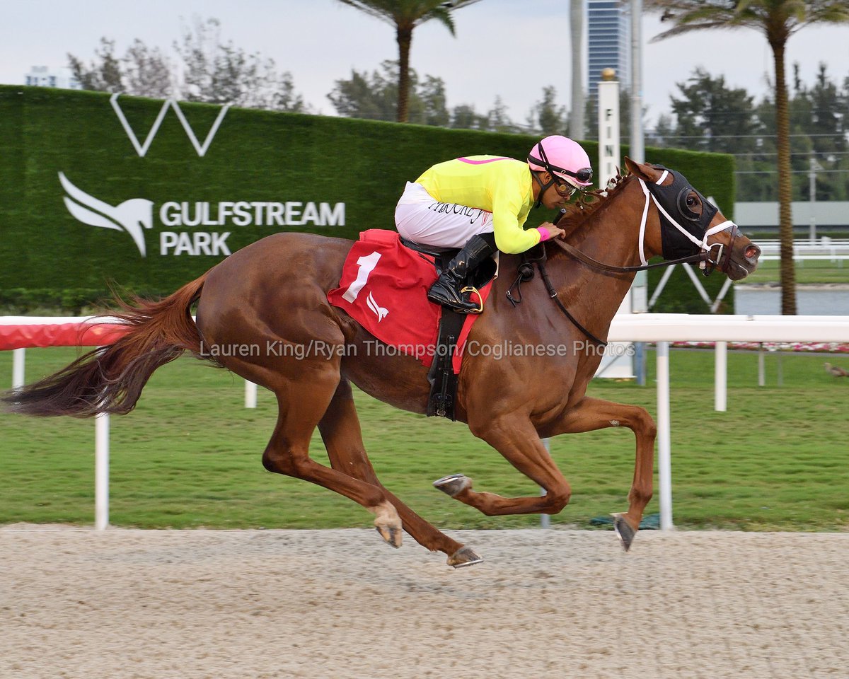 Sals Dream Girl delivers in the 6th race under jockey <a href="/luissaezpty/">Luis Saez</a>, <a href="/BTRracingstable/">Brittany Russell Racing Stable</a> is the winning conditioner. #GulfstreamPark #ChampionshipMeet 

Sals Dream Girl responde en la 6.ª carrera bajo las órdenes de Luis Sáez, Brittany Russell es el preparadora ganadora.