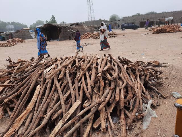 How terrorists abduct IDPs fetching firewood in Borno town yen.ng/yen2/2024/03/h…