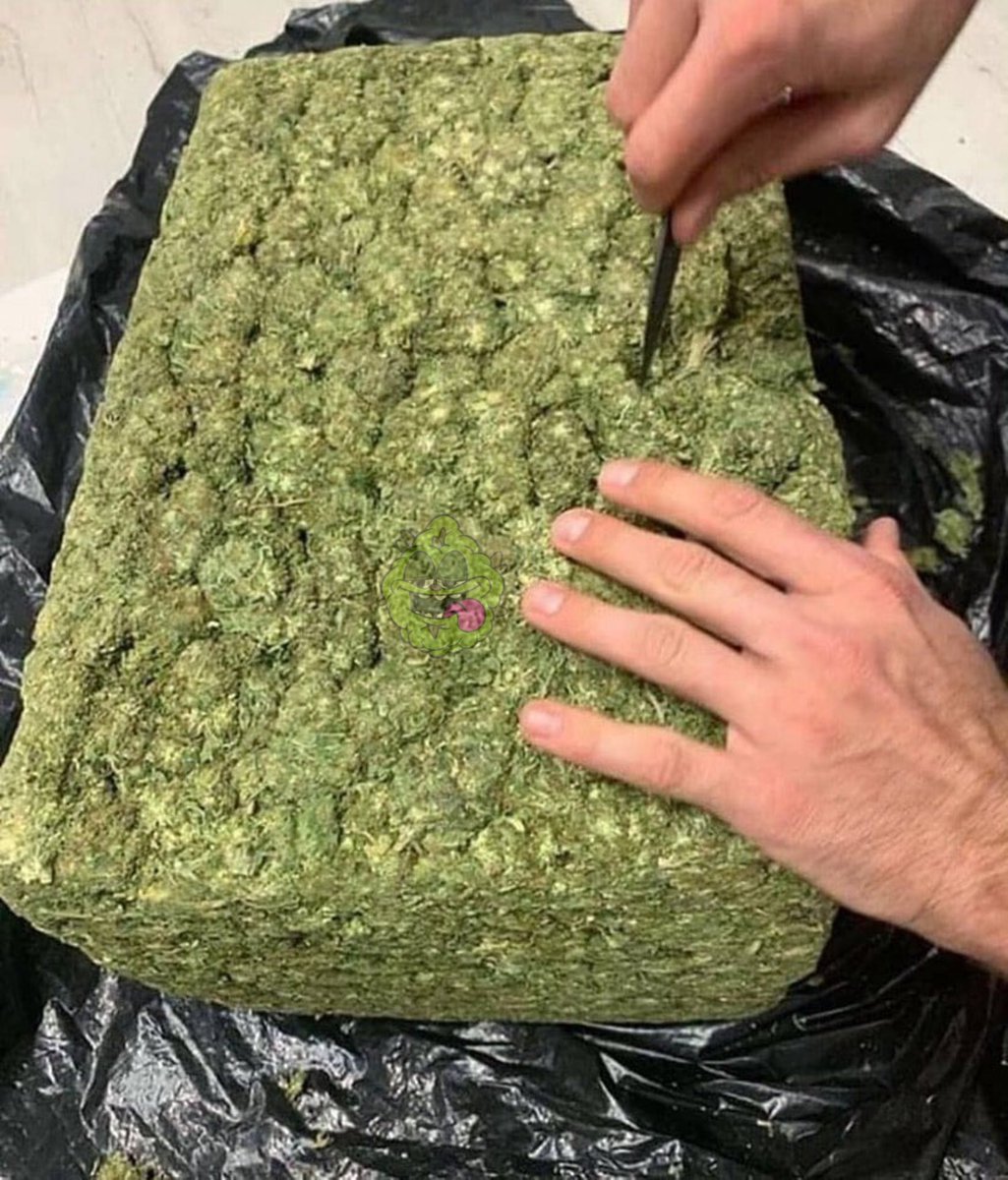 tabacariadamata's tweet photo. O travesseiro que eu queria 🍁 https://t.co/L3XKYLu0OZ