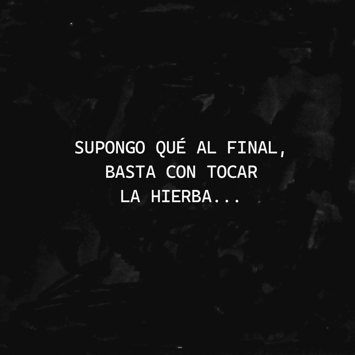 contrapelozine's tweet photo. Hoy es el turno de Soy.Nok que presenta su historia para Contrapelo 3 así:
El tiempo se posa ante ti, te mira fijamente y sigue su curso sin esperar a nadie. A veces y solo por un instante, la única forma de atraparlo es estar presente y tocar la hierba… https://t.co/ht25zAOxr4