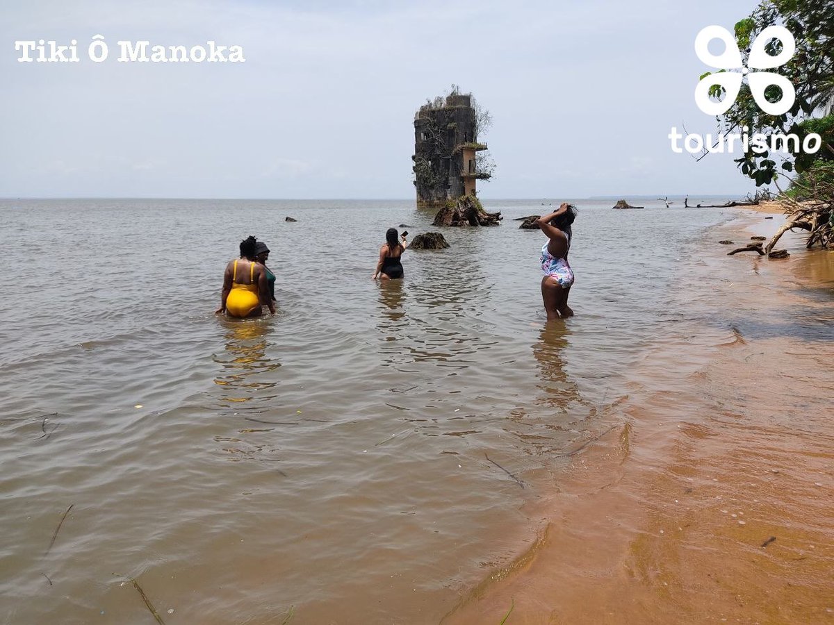 TourismoCMR's tweet photo. Excursion sur mesure : Tiko Ô Manoka
Découverte de l’île de Manoka à nos Travelers.
Merci de votre confiance .
Pour un devis sur mesure, contactez-nous :
contact@tourismocameroun.com
+237 696 80 49 25
#Manoka #Ecotourisme #VisiterManoka #TourismoCameroun #VisitCameroon #m https://t.co/pvVRqO0wZW