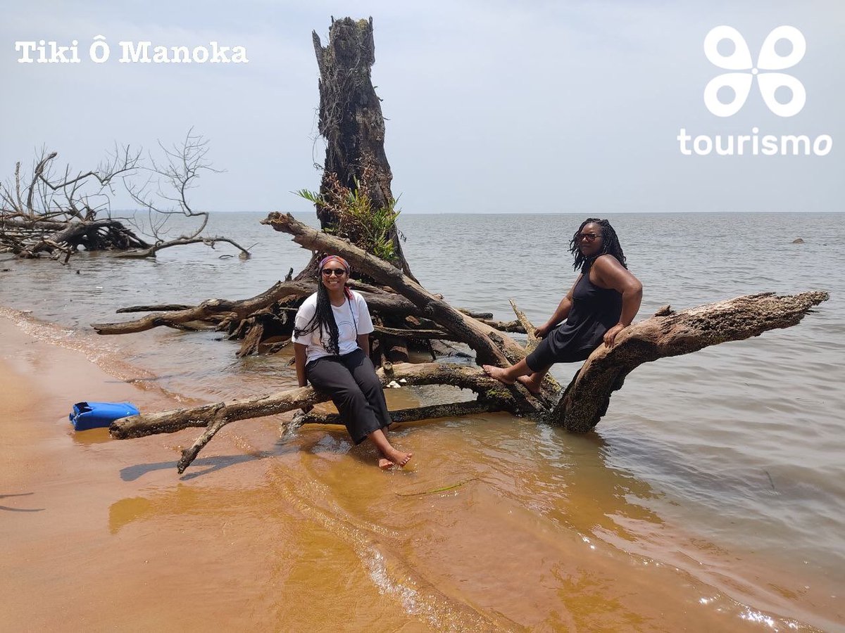 TourismoCMR's tweet photo. Excursion sur mesure : Tiko Ô Manoka
Découverte de l’île de Manoka à nos Travelers.
Merci de votre confiance .
Pour un devis sur mesure, contactez-nous :
contact@tourismocameroun.com
+237 696 80 49 25
#Manoka #Ecotourisme #VisiterManoka #TourismoCameroun #VisitCameroon #m https://t.co/pvVRqO0wZW
