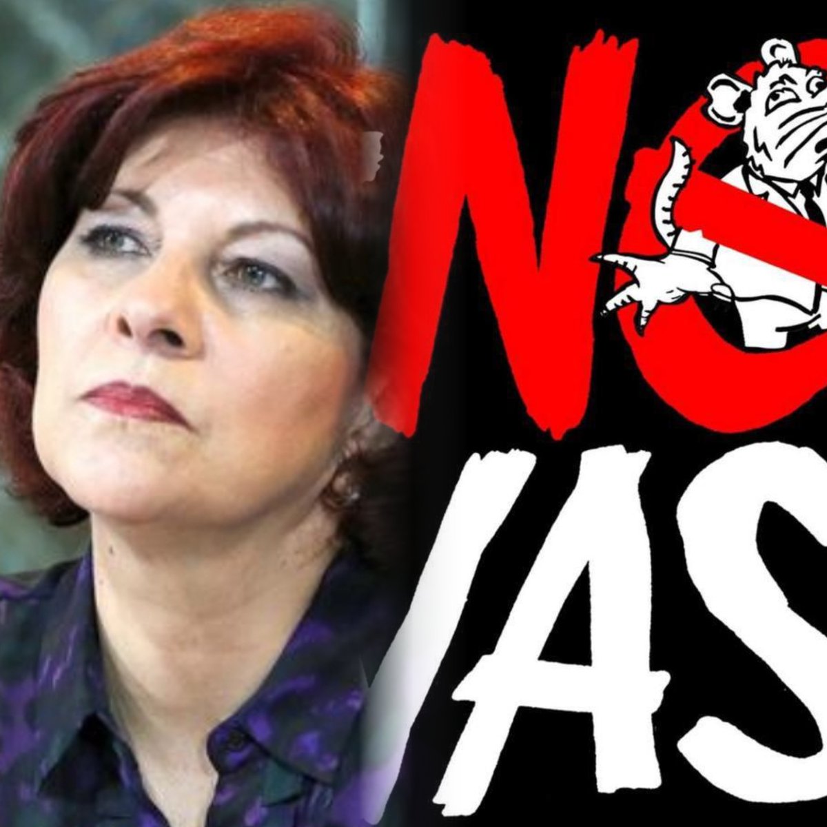 SpainCamaron's tweet photo. @claraMENTEpana Esta señora es una vil CABR0NA #NoVasss https://t.co/tLqNtfLJ4p